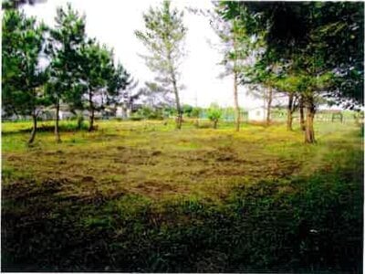 千葉県長生郡一宮町 上総一ノ宮駅26分 戸建て 4,208万円の競売物件情報 #18