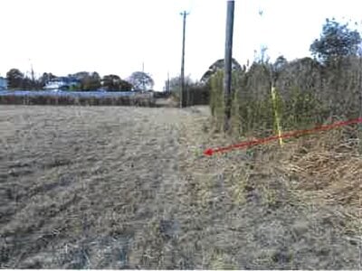 千葉県山武郡九十九里町 求名駅 戸建て 73万円の競売物件情報 #3
