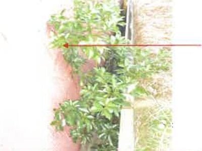 千葉県銚子市 本銚子駅6分 戸建て 2,111万円の競売物件情報 #5