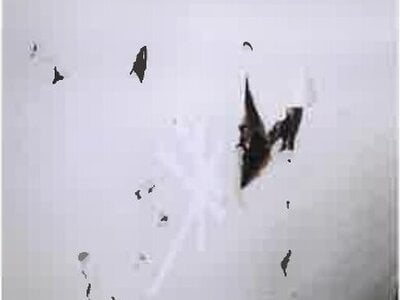 千葉県千葉市花見川区 新検見川駅18分 マンション「西小中台団地」165万円の競売物件情報 #7