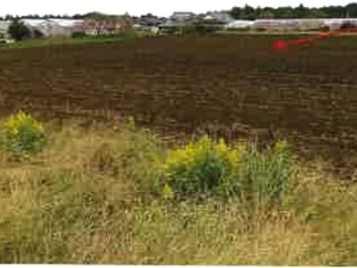 千葉県香取市 大戸駅 農地 214万円の競売物件情報 #2