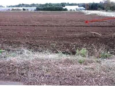 千葉県香取市 大戸駅 農地 214万円の競売物件情報 #4