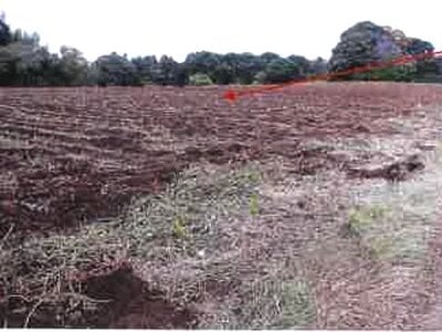 千葉県香取市 大戸駅 農地 214万円の競売物件情報 #5