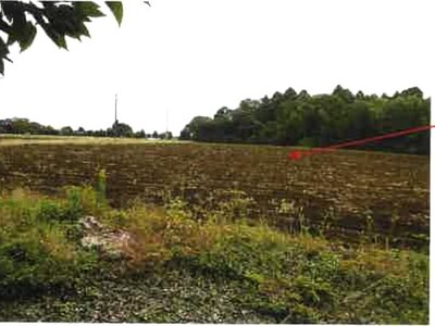 千葉県香取市 大戸駅 農地 214万円の競売物件情報 #6