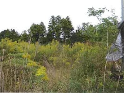 千葉県香取市 大戸駅 戸建て 334万円の競売物件情報 #4