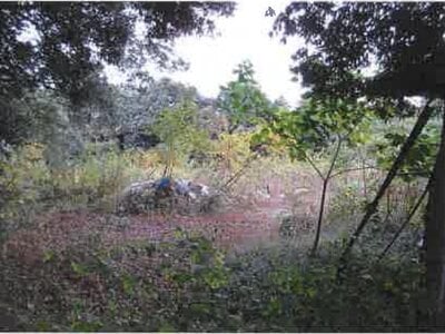 千葉県香取市 大戸駅 戸建て 334万円の競売物件情報 #5