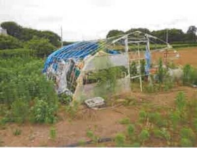 (値下げ) 千葉県富里市 芝山千代田駅 戸建て 238万円の競売物件情報 #7