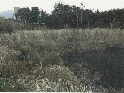 東京都八丈島八丈町 土地 617万円の競売物件情報 #2