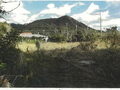 東京都八丈島八丈町 土地 617万円の競売物件情報 #3