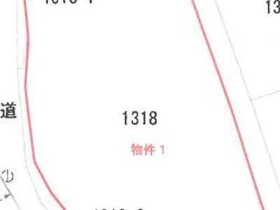 新潟県胎内市 中条駅27分 土地 137万円の競売物件情報 #3
