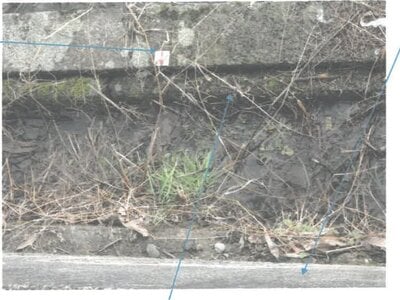 福井県小浜市 東小浜駅17分 戸建て 1,584万円の競売物件情報 #5