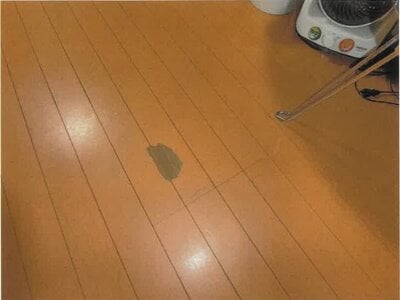 愛知県春日井市 春日井駅4分 戸建て 713万円の競売物件情報 #10