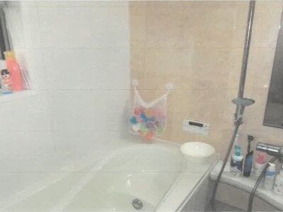 愛知県海部郡大治町 甚目寺駅22分 戸建て 1,180万円の競売物件情報 #6