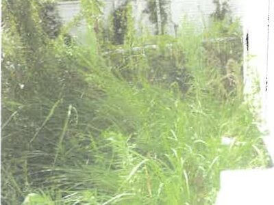 滋賀県湖南市 石部駅27分 戸建て 480万円の競売物件情報 #2