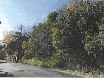 兵庫県宝塚市 宝塚駅12分 土地 338万円の競売物件情報 #14
