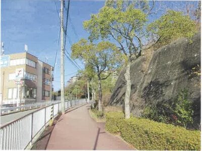 兵庫県宝塚市 宝塚駅12分 土地 338万円の競売物件情報 #4