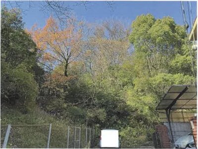 兵庫県宝塚市 宝塚駅12分 土地 338万円の競売物件情報 #6