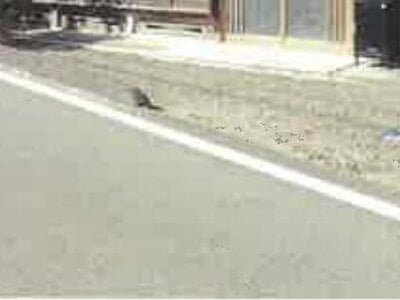 (値下げ) 兵庫県丹波市 船町口駅 戸建て 210万円の競売物件情報 #2