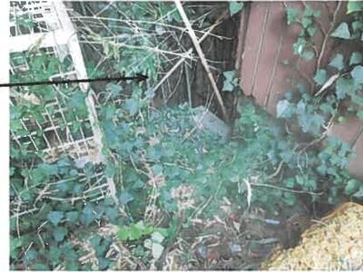 (値下げ) 鳥取県東伯郡琴浦町 赤碕駅11分 土地 21万円の競売物件情報 #3