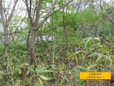 (値下げ) 北海道小樽市 銭函駅 土地 225万円の国税庁公売物件情報 #2