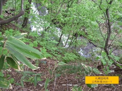 (値下げ) 北海道小樽市 銭函駅 土地 225万円の国税庁公売物件情報 #3