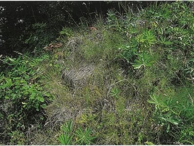 北海道北見市 西北見駅 戸建て 169万円の競売物件情報 #13