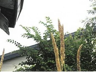 北海道北見市 西北見駅 戸建て 169万円の競売物件情報 #15