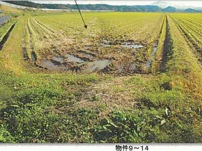 秋田県由利本荘市 羽後岩谷駅 農地 61万円の競売物件情報 #2