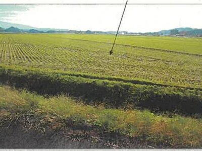 秋田県由利本荘市 羽後岩谷駅 農地 61万円の競売物件情報 #3