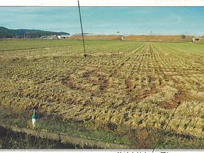 秋田県由利本荘市 羽後岩谷駅 農地 61万円の競売物件情報 #5