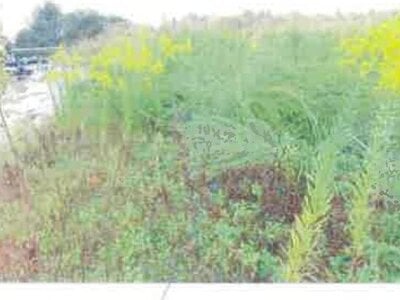 (値下げ) 福島県西白河郡矢吹町 矢吹駅16分 土地 1,243万円の競売物件情報 #3