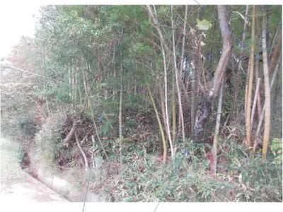 福島県郡山市 安子ヶ島駅 土地 333万円の競売物件情報 #13