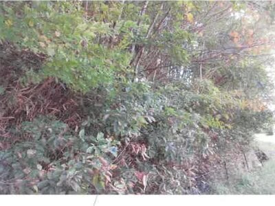 福島県郡山市 安子ヶ島駅 土地 333万円の競売物件情報 #14