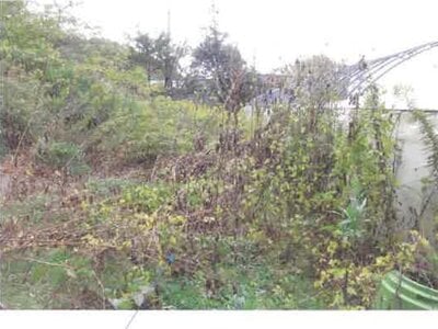 福島県郡山市 安子ヶ島駅 土地 333万円の競売物件情報 #17