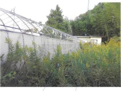 福島県郡山市 安子ヶ島駅 土地 333万円の競売物件情報 #19