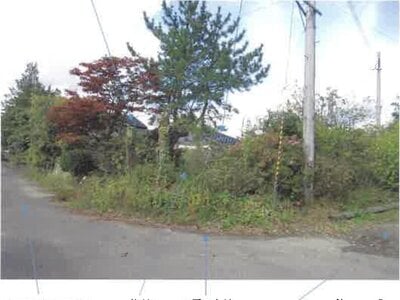 福島県郡山市 安子ヶ島駅 土地 333万円の競売物件情報 #3