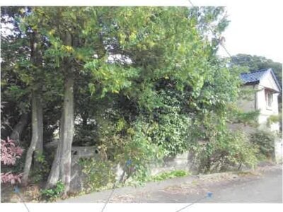 福島県郡山市 安子ヶ島駅 土地 333万円の競売物件情報 #4