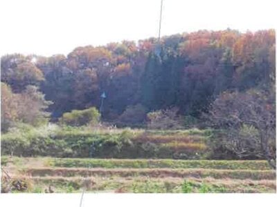 福島県須賀川市 農地 102万円の競売物件情報 #10