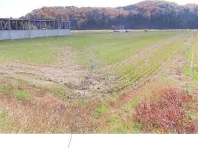 福島県須賀川市 農地 102万円の競売物件情報 #12