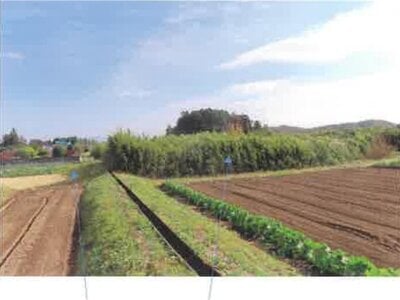 福島県須賀川市 農地 102万円の競売物件情報 #29