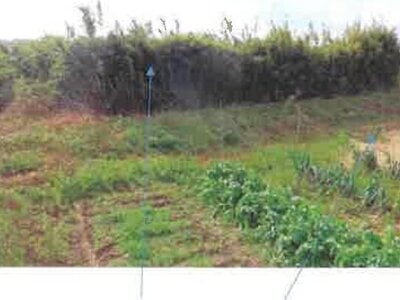 福島県須賀川市 農地 102万円の競売物件情報 #32