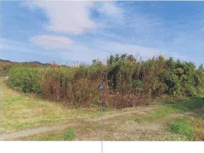 福島県須賀川市 農地 102万円の競売物件情報 #33