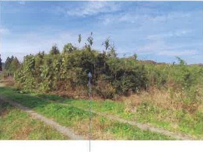 福島県須賀川市 農地 102万円の競売物件情報 #34