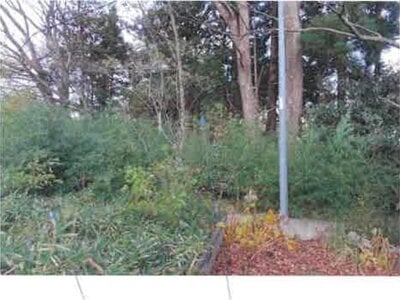 福島県須賀川市 農地 102万円の競売物件情報 #6