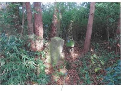 福島県須賀川市 農地 102万円の競売物件情報 #8