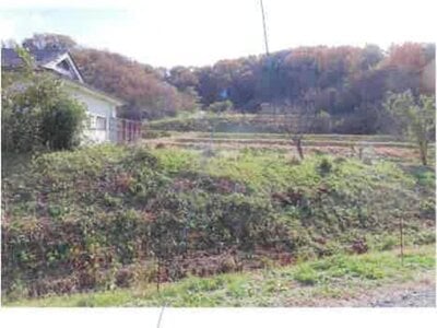 福島県須賀川市 農地 102万円の競売物件情報 #9