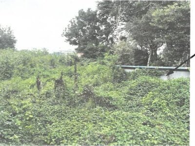 栃木県小山市 東結城駅20分 土地 168万円の競売物件情報 #3