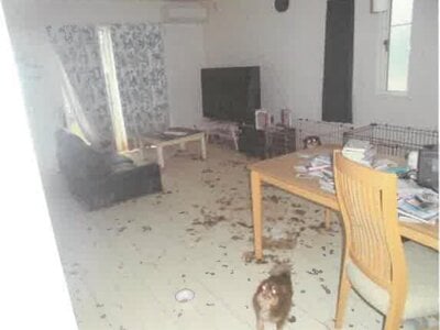 群馬県前橋市 大胡駅7分 戸建て 651万円の競売物件情報 #2