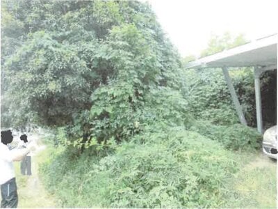 群馬県前橋市 大胡駅8分 農地 532万円の競売物件情報 #5