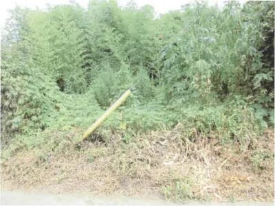 群馬県前橋市 大胡駅8分 農地 532万円の競売物件情報 #7